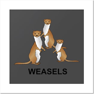 Three weasel Posters and Art